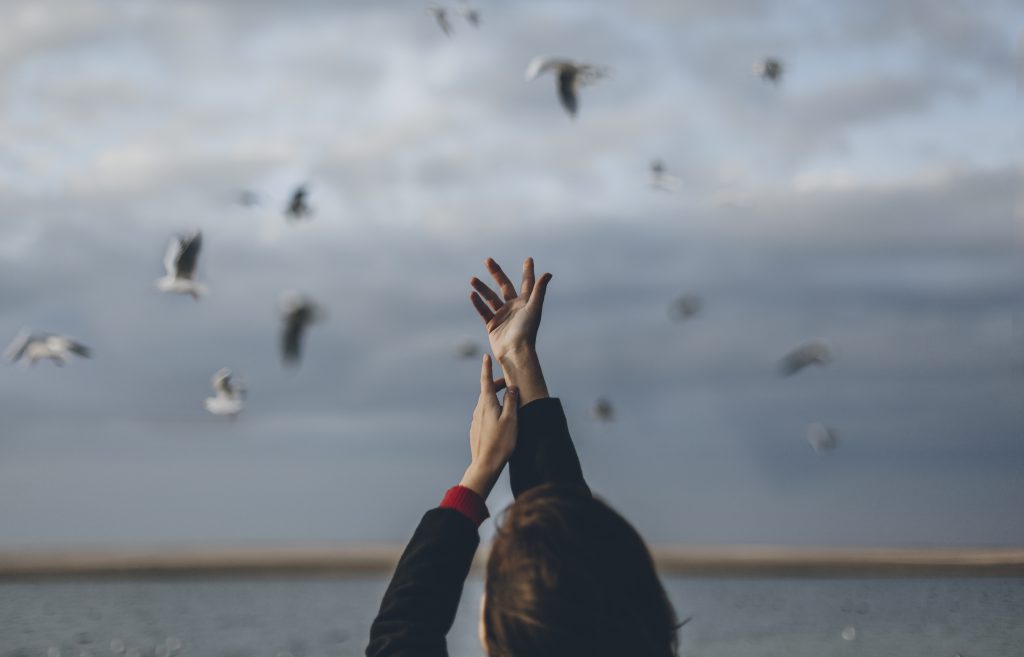 autism, navigating autism, mental health, foundry bc