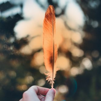 Orange feather